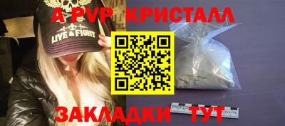 jwh Кимры
