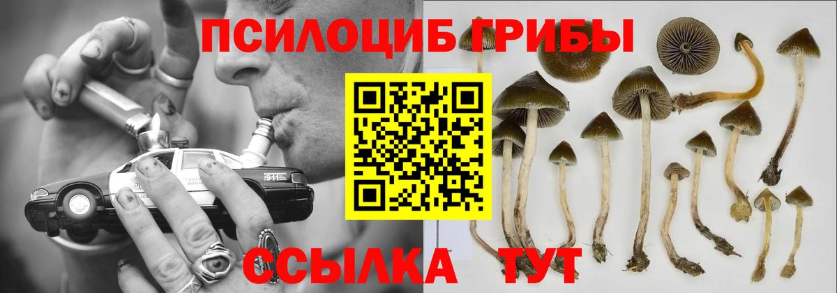 Электросталь  Псилоцибиновые грибы прущие грибы  Вход с VPN 