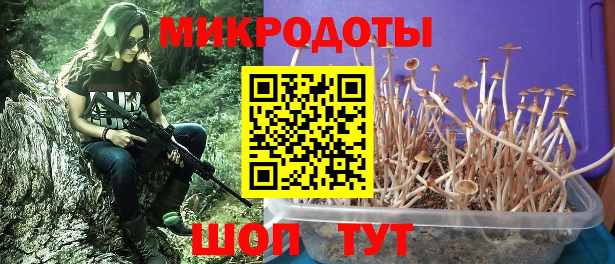 Галлюциногенные грибы ЛСД Электросталь